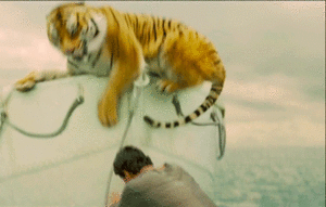 Tijger GIF. Dieren Tijger Gifs 