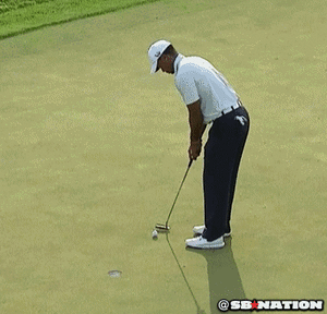 Tijger GIF. Dieren Tijger Gifs 