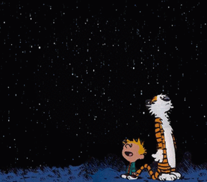 Tijger GIF. Dieren Tijger Gifs 