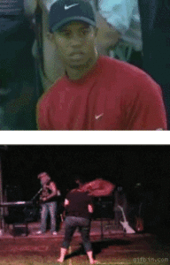 Tijger GIF. Dieren Zwemmen Water Tijger Gifs Poten 