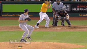Tijger GIF. Dieren Tijger Gifs 