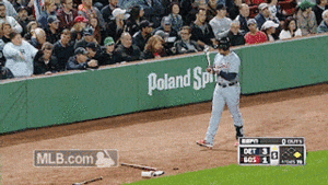 Tijger GIF. Dieren Tijger Gifs 