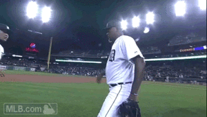 Tijger GIF. Dieren Kunst Tijger Driehoek Gifs 