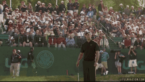 Tijger GIF. Dieren Tijger Gifs 