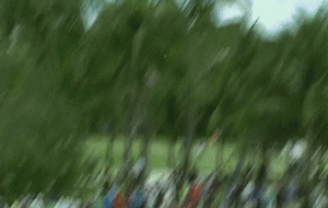 Tijger GIF. Dieren Liefde Sneeuw Tijger Omhelzing Gifs Sprong 