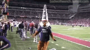 Tijger GIF. Dieren Tijger Gifs Dier Bengalen Siberisch 