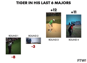Tijger GIF. Dieren Tong Tijger Gifs Majestueus 