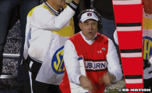 Tijger GIF. Dieren Tijger Gifs Hipsta 