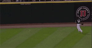 Tijger GIF. Dieren Ogen Tijger Gifs Opgewonden Gebrul Grommen Kooi 