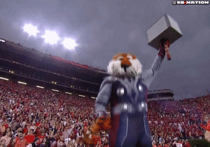 Tijger GIF. Dieren Tijger Gifs Grommen Welp 