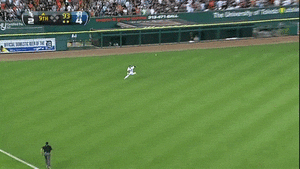 Tijger GIF. Dieren Kat Tijger Gifs Gebrul 