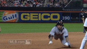 Tijger GIF. Dieren Grappig Tijger Gifs Likken Het+liggen 