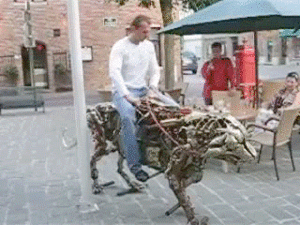 Tijger GIF. Dieren Water Tijger Blauw Gifs Dier 