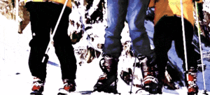 Top Gear GIF. Films en series Gifs Top gear 