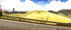Top Gear GIF. Films en series Dagen School Gifs Top gear Man 