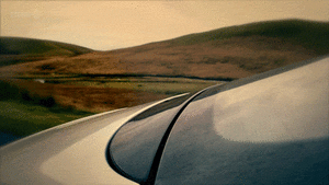Honden GIF. Dieren Films en series Gifs Hond Top gear 