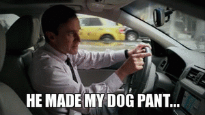 White Collar GIF. Films en series White collar Gifs Filmsterren Matt bomer Neal caffrey Neal 