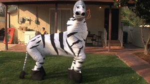 Zebra GIF. Dieren Zebra Gifs Verdovend+middel 