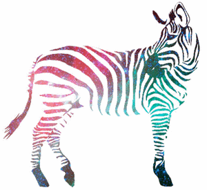 Zebra GIF. Dieren Zebra Gifs Verbazingwekkend Melkweg Dier 