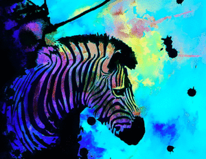 Zebra GIF. Dieren Zebra Gifs Drugs Trip Trippy Psychedelische Zuur Gestenigd 