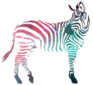 Zebra GIF. Dieren Zebra Sterren Kleuren Gifs Beweging Gek Heelal Helder 