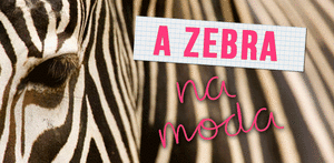 Zebra GIF. Dieren Zebra Gifs Ander 