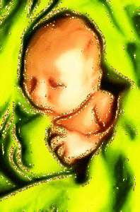 Baby Glitter plaatjes Slapend Babytje In Groen Dekentje Glitter