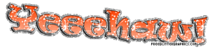 Cowboy Glitter plaatjes 
