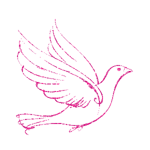 Duiven Glitter plaatjes 