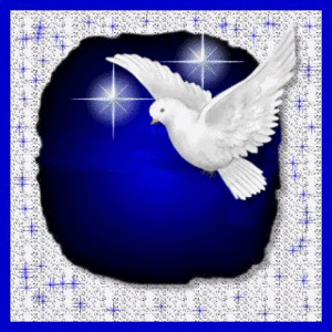 Duiven Glitter plaatjes 