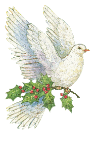 Duiven Glitter plaatjes 