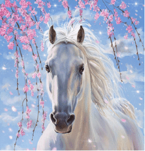 Fantasie Glitter plaatjes 