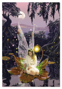 Fantasie Glitter plaatjes 
