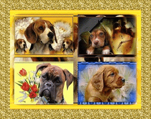 Honden Glitter plaatjes 