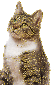 Katten Glitter plaatjes Sypers Kat Glitter