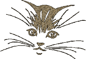 Katten Glitter plaatjes Gezicht Van Een Kat Poes