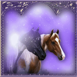 Paarden Glitter plaatjes Paarden Met Glitter
