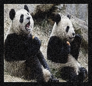 Glitter plaatjes Pandabeer 