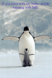 Pinguin Glitter plaatjes 