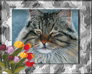 Poezen Glitter plaatjes Poes In Fotolijst Bosje Tulpen