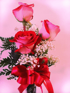 Rozen Glitter plaatjes 