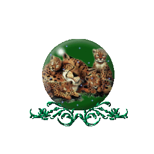Globes Globes dieren 