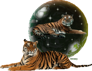 Globes Globes tijgers 