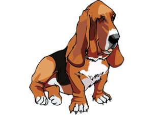 Honden plaatjes Bassets 