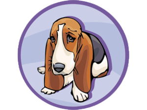 Honden plaatjes Bassets 