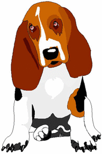 Honden plaatjes Bassets 