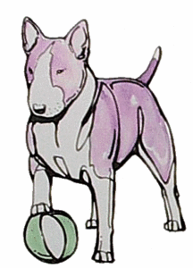 Honden plaatjes Bull terrier 