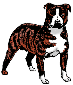 Honden plaatjes Bull terrier 