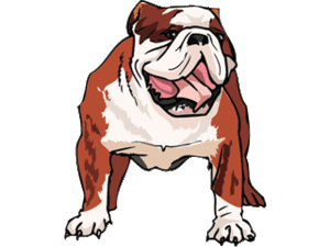 Honden plaatjes Bulldog 