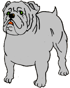 Honden plaatjes Bulldog 